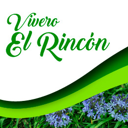 Vivero El Rincón